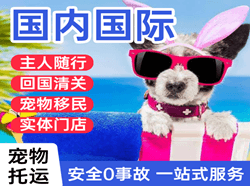 昌都邦达航空物流国际宠物托运 【国